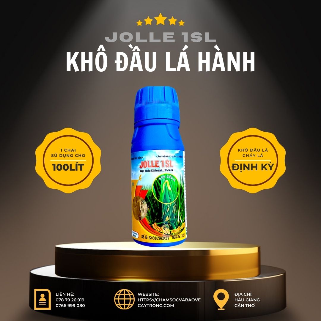 Jolle 1SL, Đặc Trị Khô Đầu Lá Hành Tím, Cháy Chóp Lá, Thối Củ, Thối Nhũn, Đốm Lá, Chai 100ml