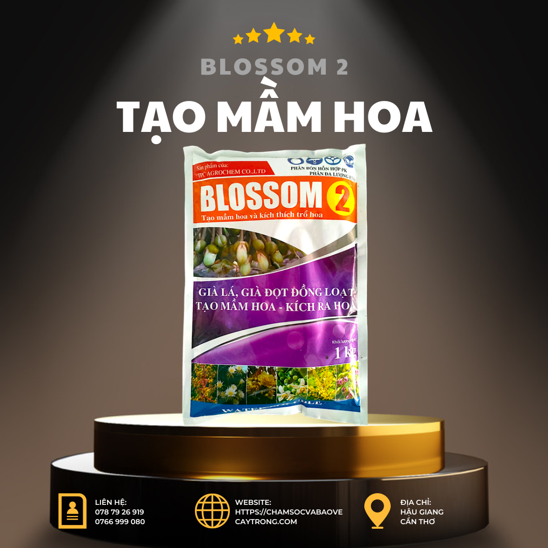 Blossom 2 gói 1kg - Phân Bón Kích Hoa Tạo Mầm Hoa, Kích Trổ Hoa, Già Lá Nhanh và Đồng Loạt