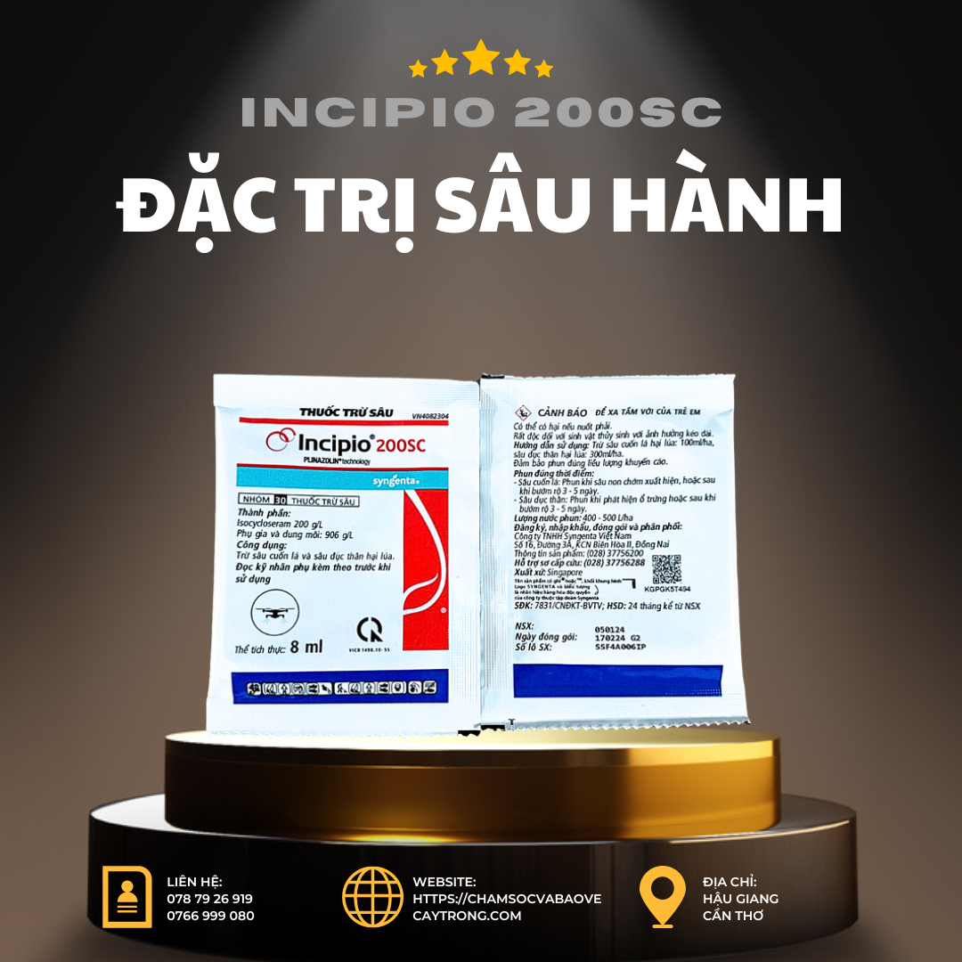 Incipio 200SC, Đặc Trị Sâu Cuốn Lá Lúa, Sâu Đục Thân, Sâu Xanh Da Láng, Sâu Ống Hành Tím