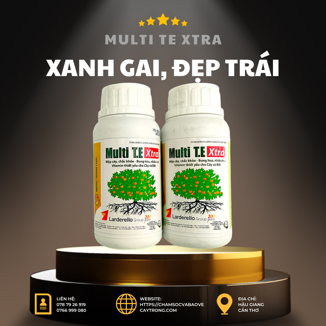 MULTI TE XTRA Phân Bón Lá Vi Lượng, Combi Dạng Lỏng, Dưỡng Xanh Lá, Xanh Gai, Đẹp Trái, Đẹp Màu