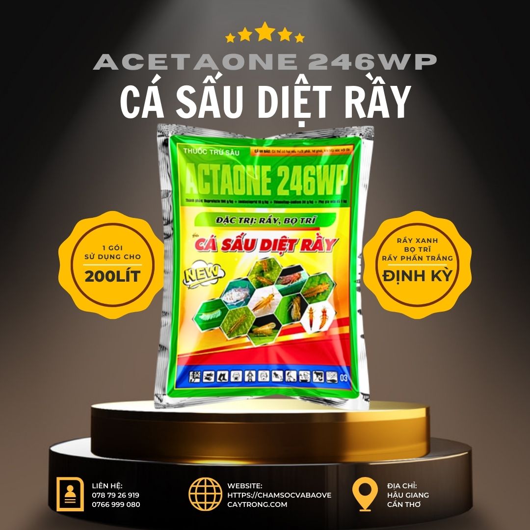 ACTAONE 246WP - Đặc Trị Rầy Xanh Sầu Riêng, Rầy Phấn Trắng, Rầy Nâu, Gói 100gr