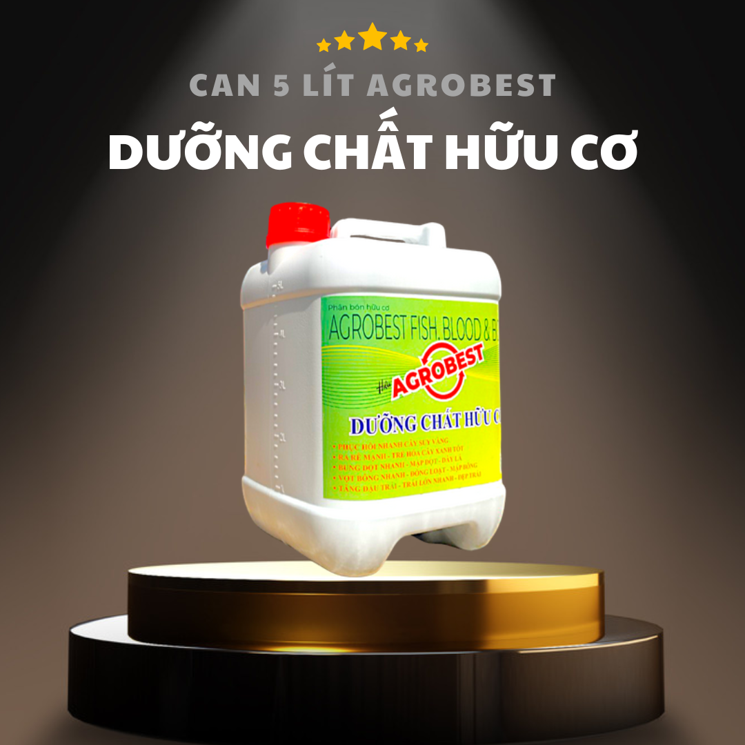 Can 5 Lít Tưới Gốc Agrobest, Siêu Ra Rễ, Dưỡng Xanh Lá, Phục Hồi Cây Suy Yếu, Giải Độc Phèn, Mặn