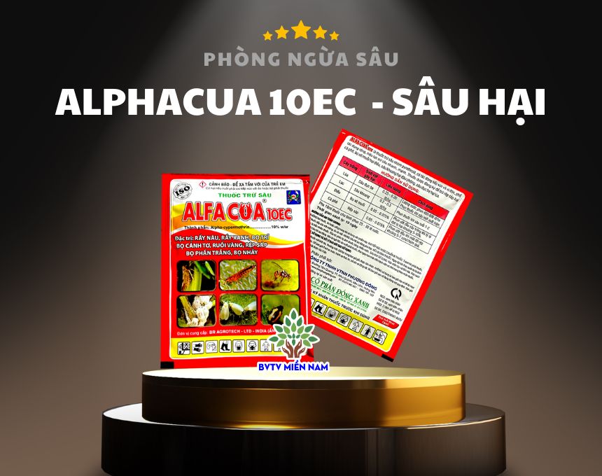 Alphacua 10EC - Đặc Trị Rệp Sáp - Bọ Xít Muỗi - Sâu Đục Bẹ - Sâu Khoang