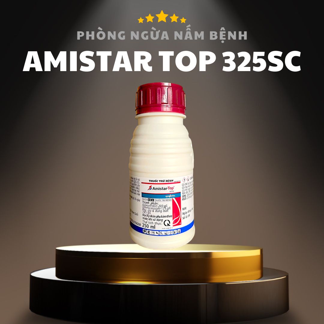 AMISTAR TOP 325SC, Đặc Trị Đạo Ôn Lá, Cổ Bông, Lem Lép Hạt Lúa, Thuốc Trừ Nấm Bệnh Lưu Dẫn