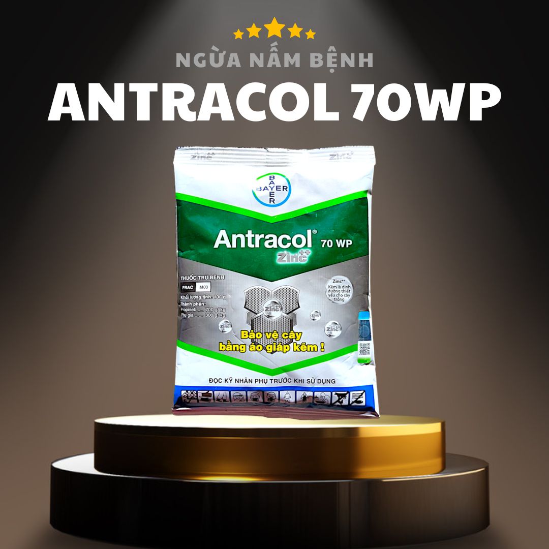 Antracol 70wp Gói 1000g Diệt Nấm Thán Thư, Đốm Đen, Sương Mai Dành Cho Hoa Cây Cảnh