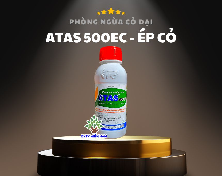 ATAS 500EC: Giải Pháp Hiệu Quả Cho Vấn Đề Cỏ Dại Trên Cây Trồng Cạn