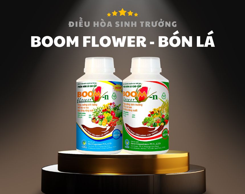 Phân Bón Lá Điều Hòa Sinh Trưởng BOOM-N-FLOWER