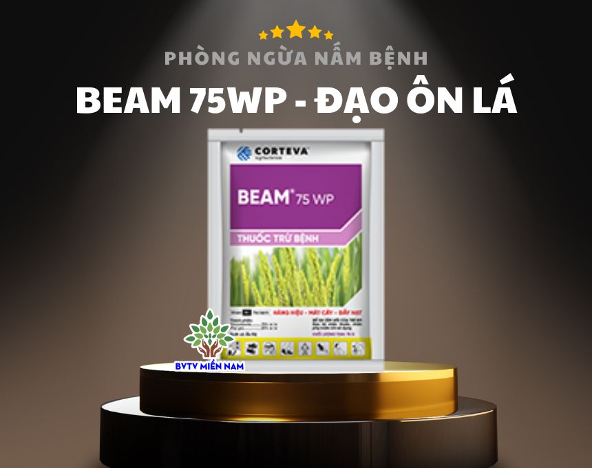 Beam 75WP: Giải Pháp Tối Ưu Cho Bệnh Đạo Ôn Trên Cây Lúa