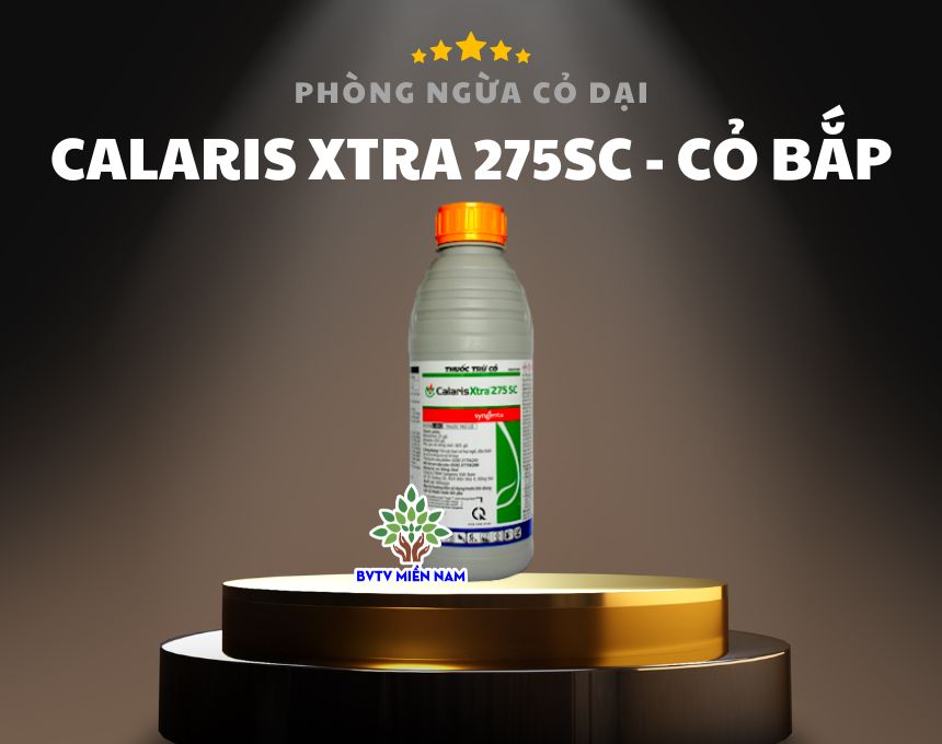 Calaris Xtra 275SC: Giải Pháp Toàn Diện Cho Vấn Đề Cỏ Dại Trên Ruộng Ngô