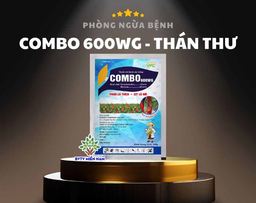 Combo 600WG: Giải Pháp Tối Ưu Cho Việc Phòng Trừ Bệnh Thán Thư Trên Ớt