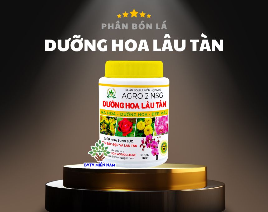 Dưỡng Hoa Lâu Tàn: Bí Quyết Kéo Dài Sự Tươi Tắn và Đẹp Mắt của Hoa