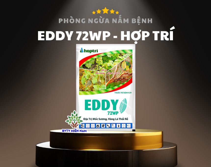 Eddy 72WP: Giải Pháp Đặc Trị Bệnh Mốc Sương, Vàng Lá Thối Rễ Hiệu Quả