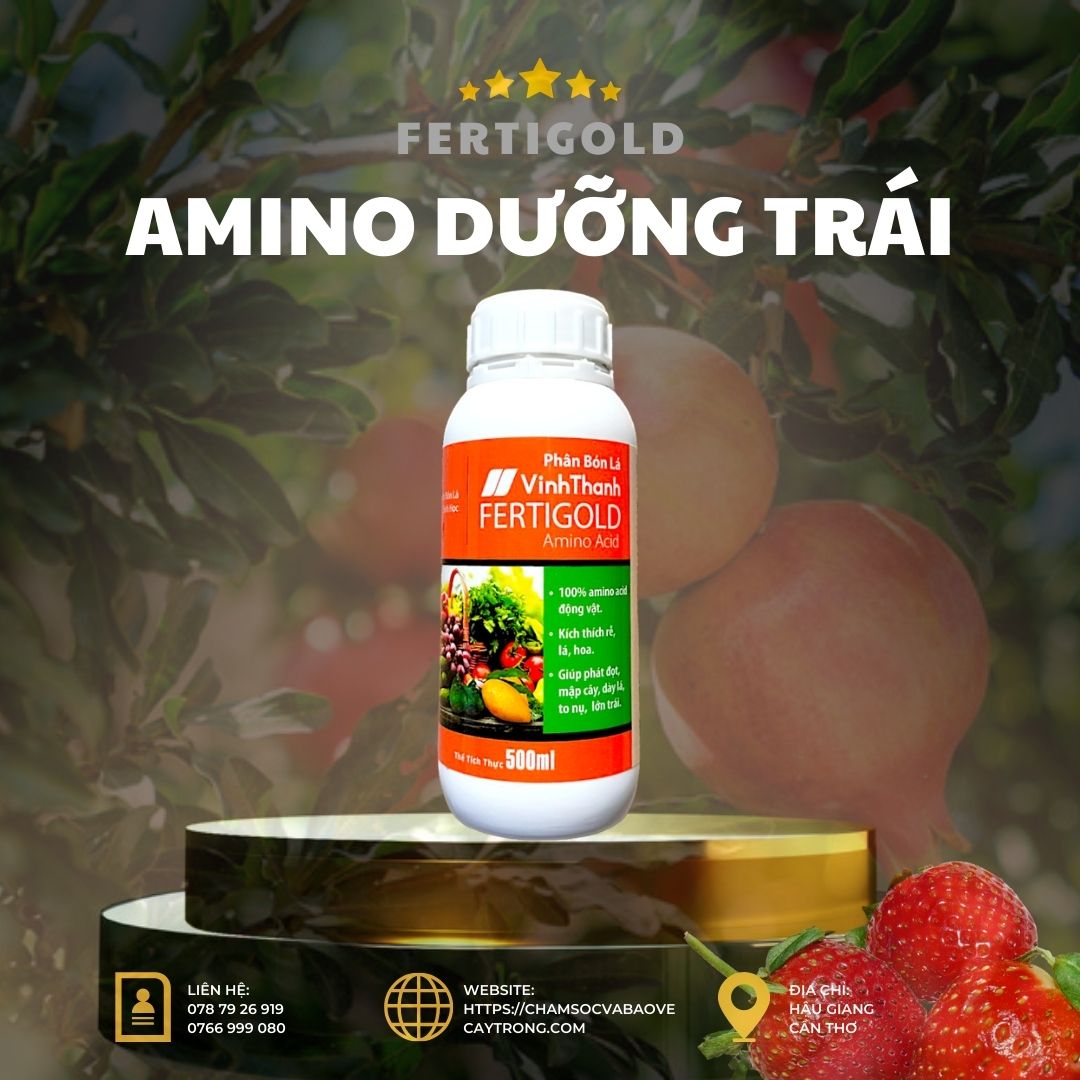 FERTIGOLD Amino Hữu cơ (chai 500ml) Vĩnh Thạnh - Giúp Cây Ra Rễ Mạnh, Phát Đọt, Mập Cây, Dày Lá, To Bông, Lớn Trái