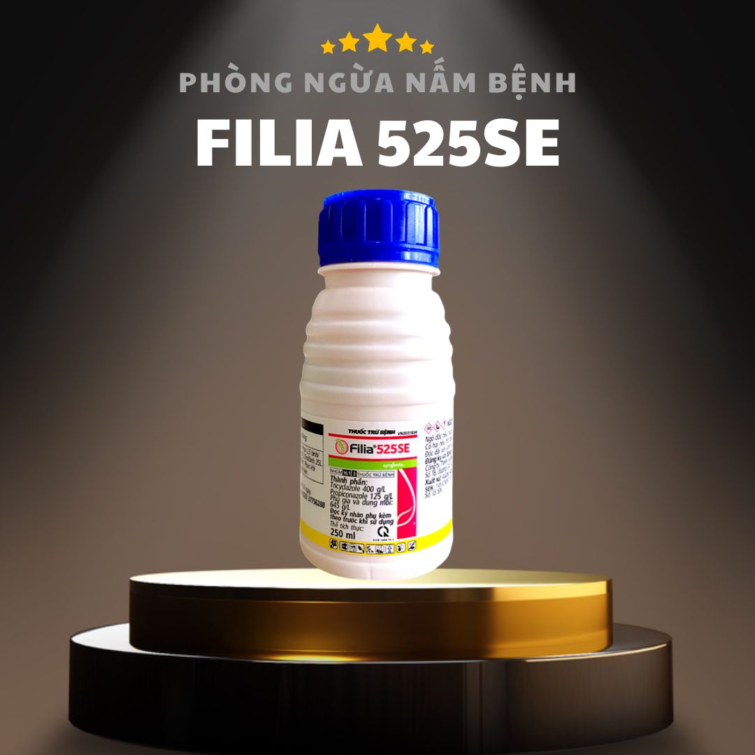 Filia 525SE, Đặc Trị Nấm Bệnh Trên Cây Trồng, Đạo Ôn Cổ Bông, Đạo Ôn Lá, Thối Quả, Thối Rễ