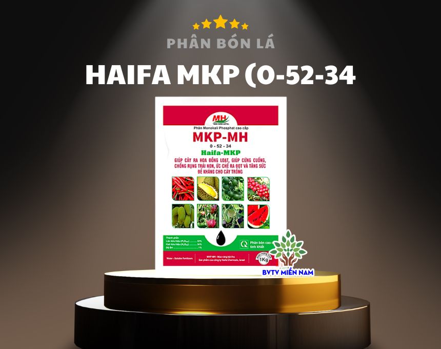 Haifa MKP (0-52-34): Phân Bón Kích Thích Ra Hoa Đồng Loạt