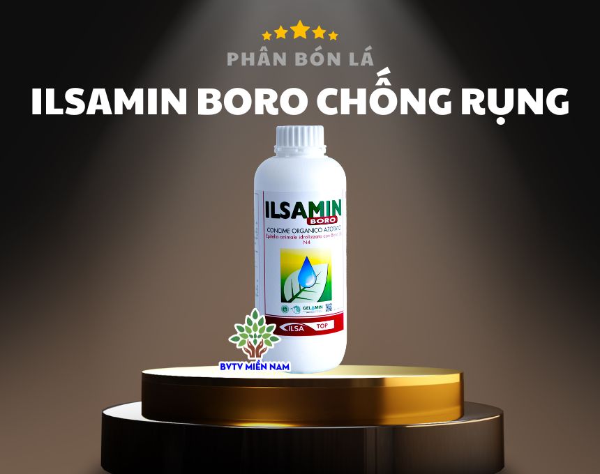 IlsAmin Boro: Biostimulant Phân Bón Bo Cao Cấp Cho Cây Trồng - Chống Rụng Hoa Và Trái Non