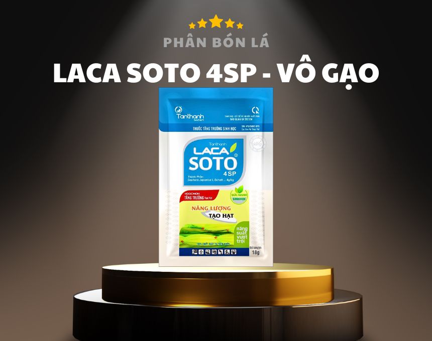 Lacasoto 4SP - Siêu Vô Gạo, To Hạt, Chắc Hạt, Dưỡng Hạt Lúa, Phân Bón Lá Cho Lúa