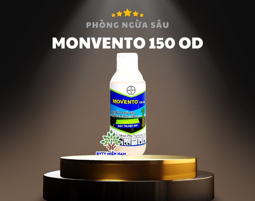 Movento 150OD trị bọ trĩ rệp sáp, lưu dẫn 2 chiều, hiệu quả cực mạnh