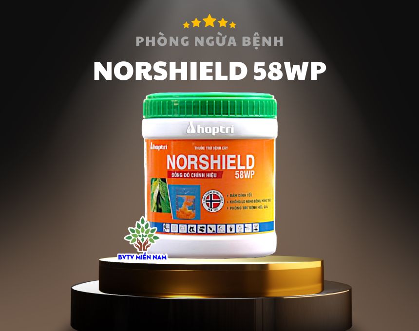 Norshield 58WP - Thuốc Đặc Trị Bệnh Nứt Thân Xì Mủ, Đốm Rong, Vàng Lá Thối Rễ