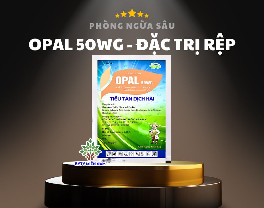 OPAL 50WG: Giải Pháp Hiệu Quả Để Đặc Trị Rệp Muội Trên Cây Ngô