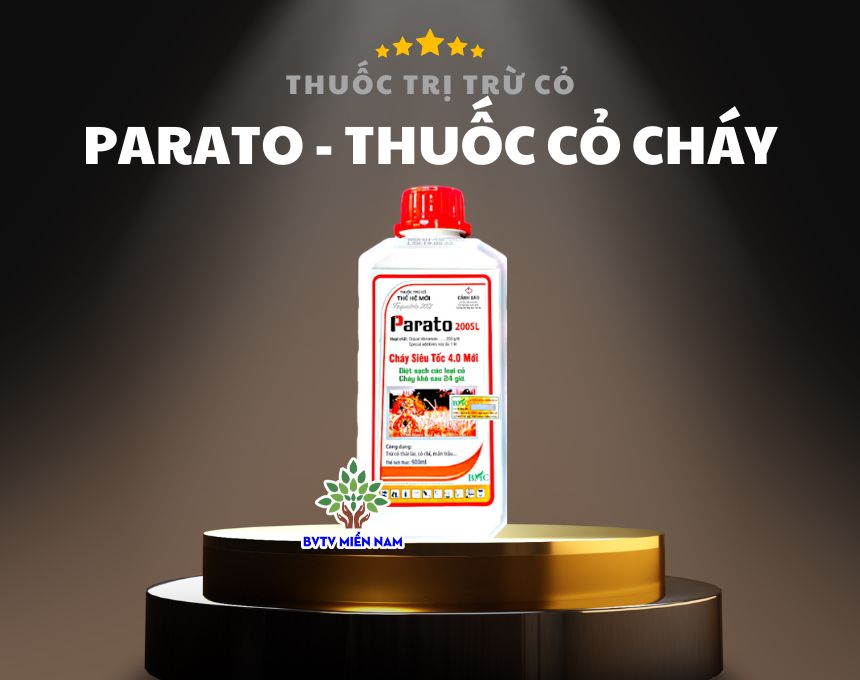 Parato 200SL - Thuốc Đặc Trị Cỏ Cháy, Cỏ Mần Trầu, Cỏ Chỉ, Cỏ Tranh, Cỏ Thài Lài