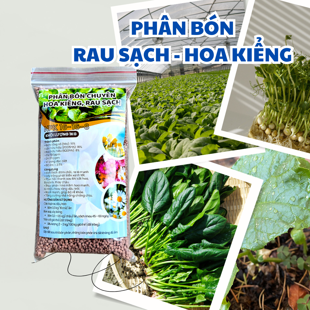 Phân Bón Cây Kiểng Lá,Gói 1kg, Trầu Bà Monstera, Cây Nội Thất, Giúp Đâm Chồi Mạnh, Chuyên Cho Hoa, Cây Cảnh Giúp Cây