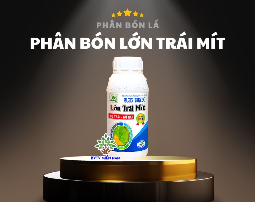 Phân Bón Lớn Trái Mít: Giải Pháp Tối Ưu Cho Nông Sản Chất Lượng Cao