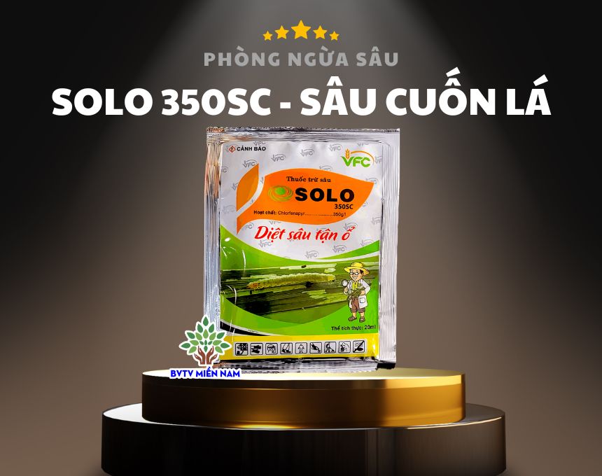 SOLO 350SC: Giải Pháp Hiệu Quả Cho Vấn Đề Sâu Cuốn Lá Trên Lúa