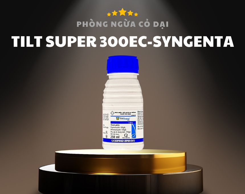 TILT SUPER 300EC - SYNGENTA, Đặc Trị Đạo Ôn Lá, Đạo Ôn Cổ Bông, Cháy Lá Lúa, Thán Thư