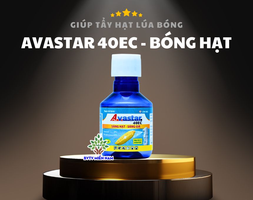 Thuốc Trừ Bệnh Avastar 40EC: Giải Pháp Hoàn Hảo Cho Vụ Mùa Sáng Bông, Sáng Hạt