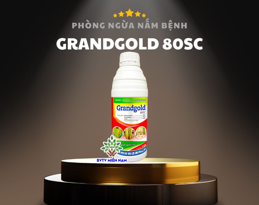 Thuốc Trừ Bệnh – Grandgold 80SC: Giải Pháp Hiệu Quả Cho Nông Nghiệp