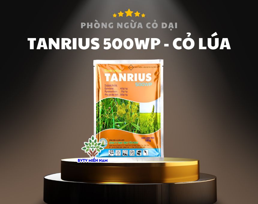 Thuốc Trừ Cỏ Tanrius 500WP: Giải Pháp Hiệu Quả Cho Ruộng Lúa