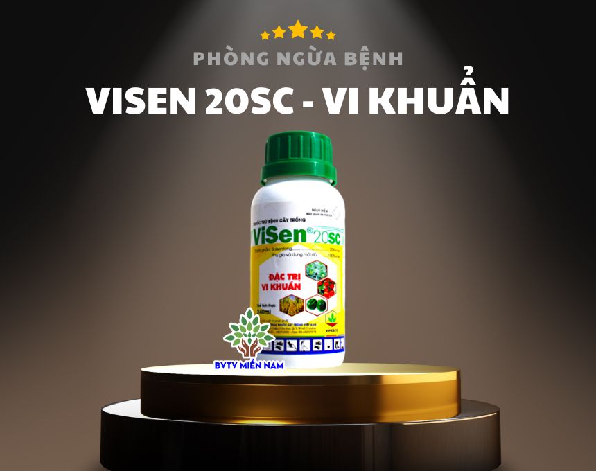 VISEN 20SC – Giải Pháp Hiệu Quả Trong Đặc Trị Vi Khuẩn