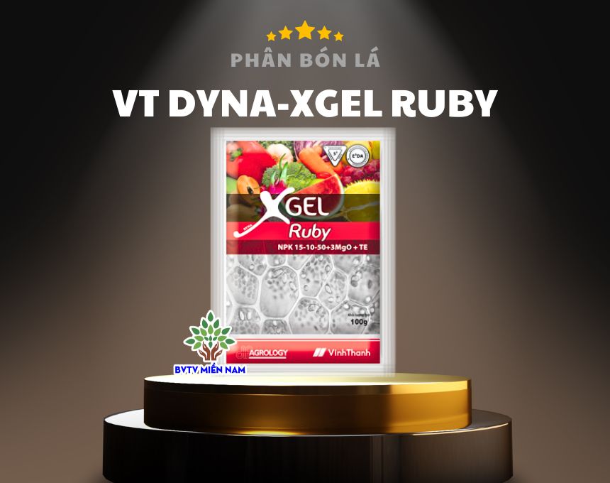 VT DYNA-XGEL RUBY NPK 15-10-50+1.8Mg+TE: Bí Quyết Cho Cây Trồng Đạt Hiệu Suất Cao