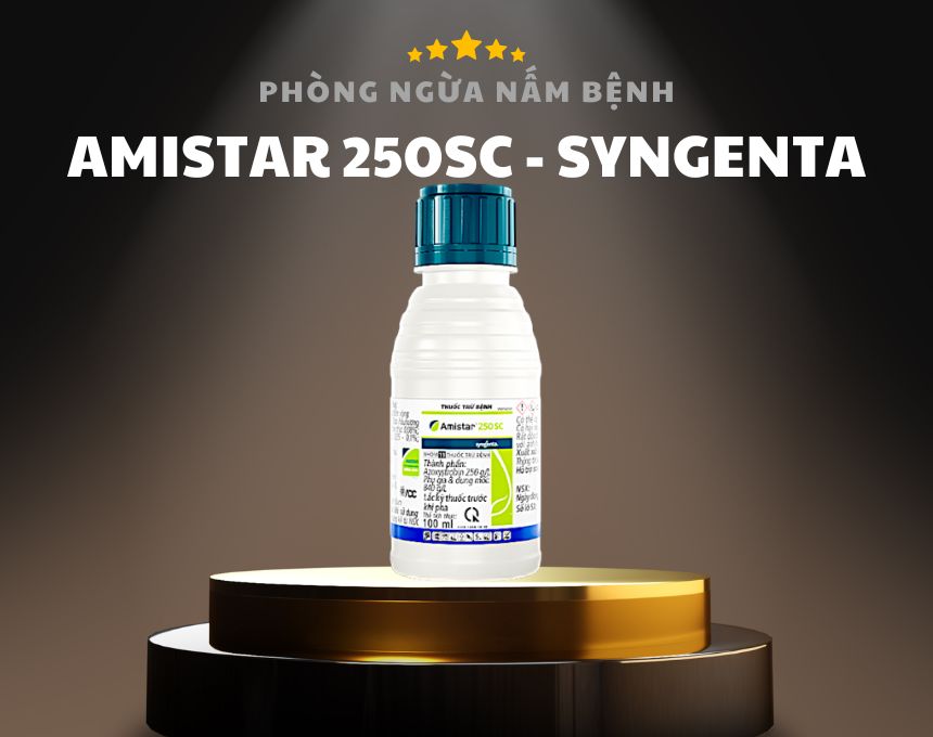 AMISTAR 250SC SYNGENTA, Thuốc Trừ Nấm Bệnh Lưu Dẫn, Đặc Trị Lem Lép Hạt, Sáng Hạt Lúa, Thối Trái, Thối Quả, Xanh Gai Sầu Riêng