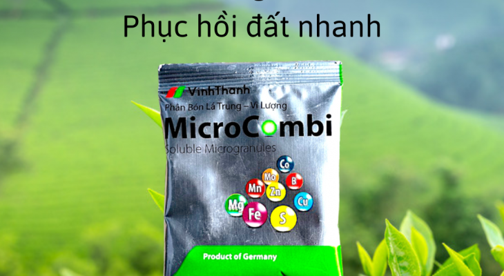 Sử Dụng Đúng Chức Năng Của Phân Vi Lượng: Bí Quyết Tối Ưu Hóa Dinh Dưỡng Cây Trồng