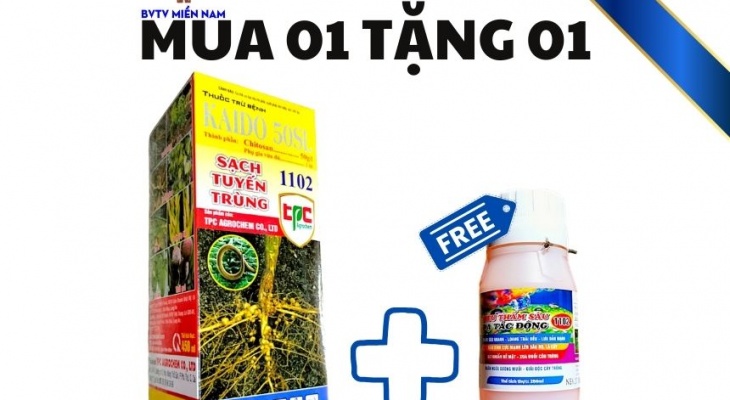 KHUYẾN MÃI THÁNG 8 VỚI KAIDO 50SL THUỐC ĐẶC TRỊ TUYẾN TRÙNG RỄ - SƯNG RỄ - NẤM RỄ